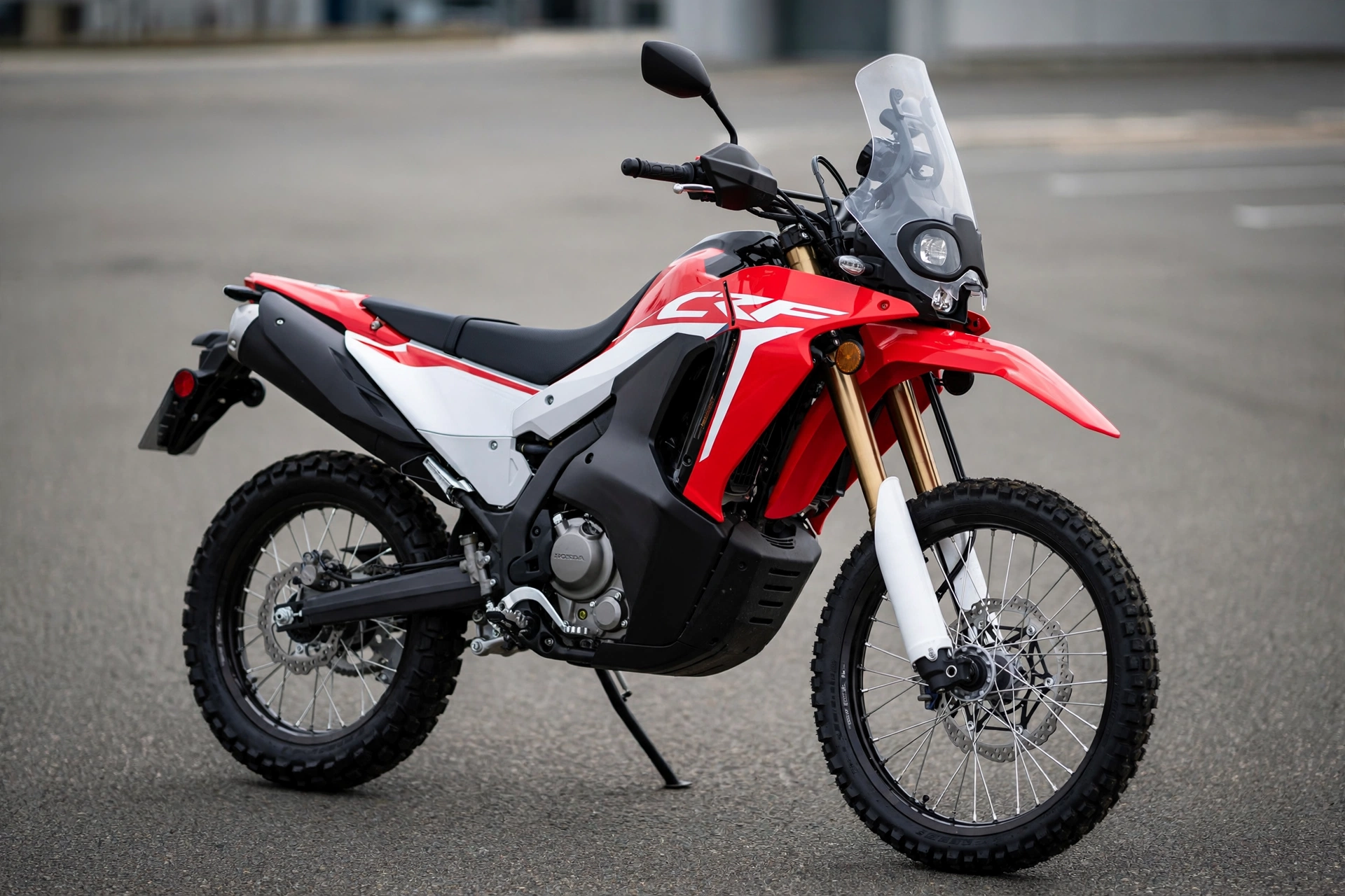 Foto oficial de la Honda CRF300 Rally