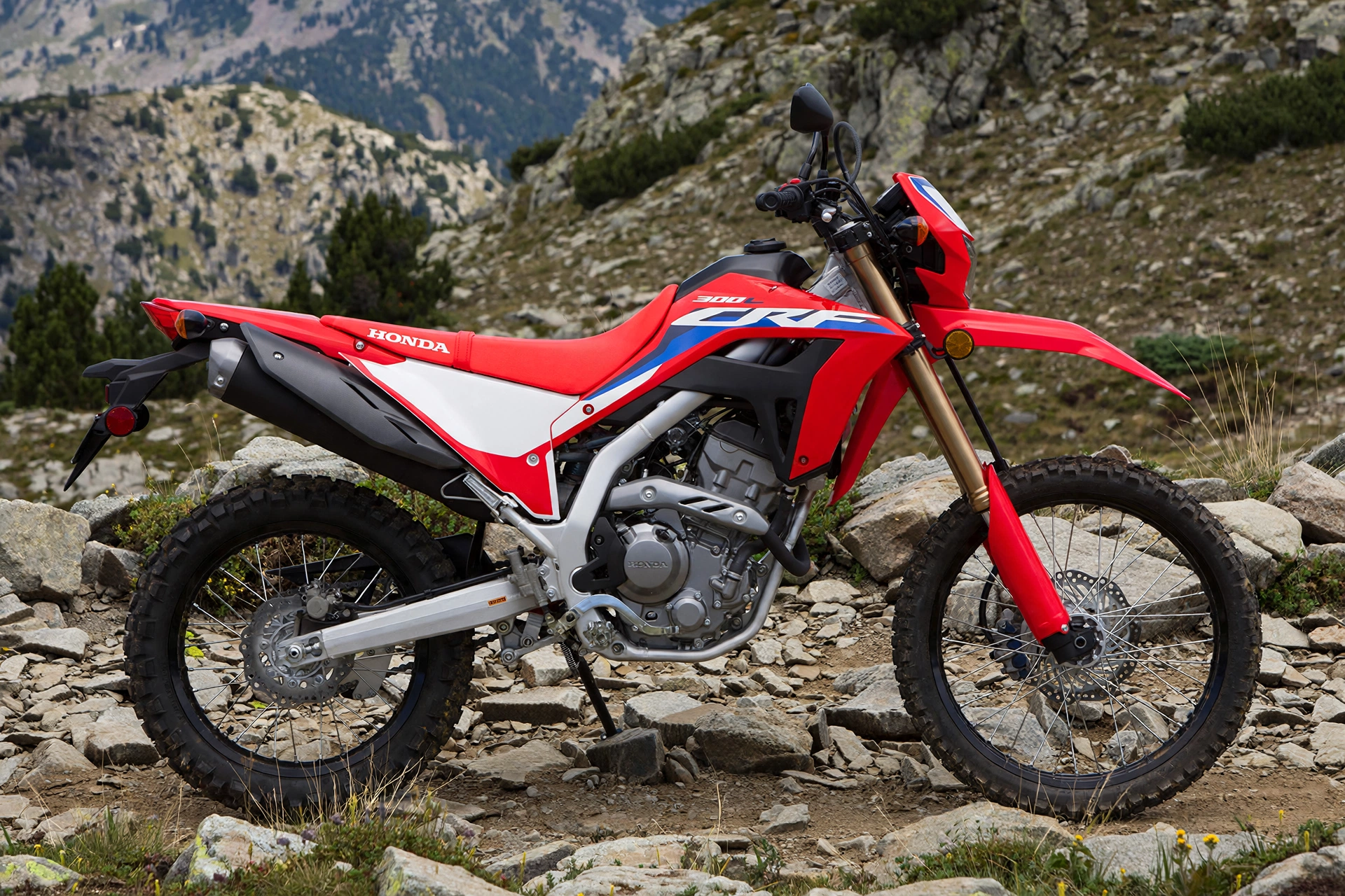 Honda CRF300L 2025, vista lateral en sendero