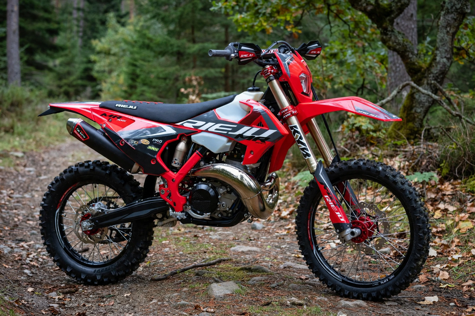 Foto oficial de la Rieju MR Pro 300i