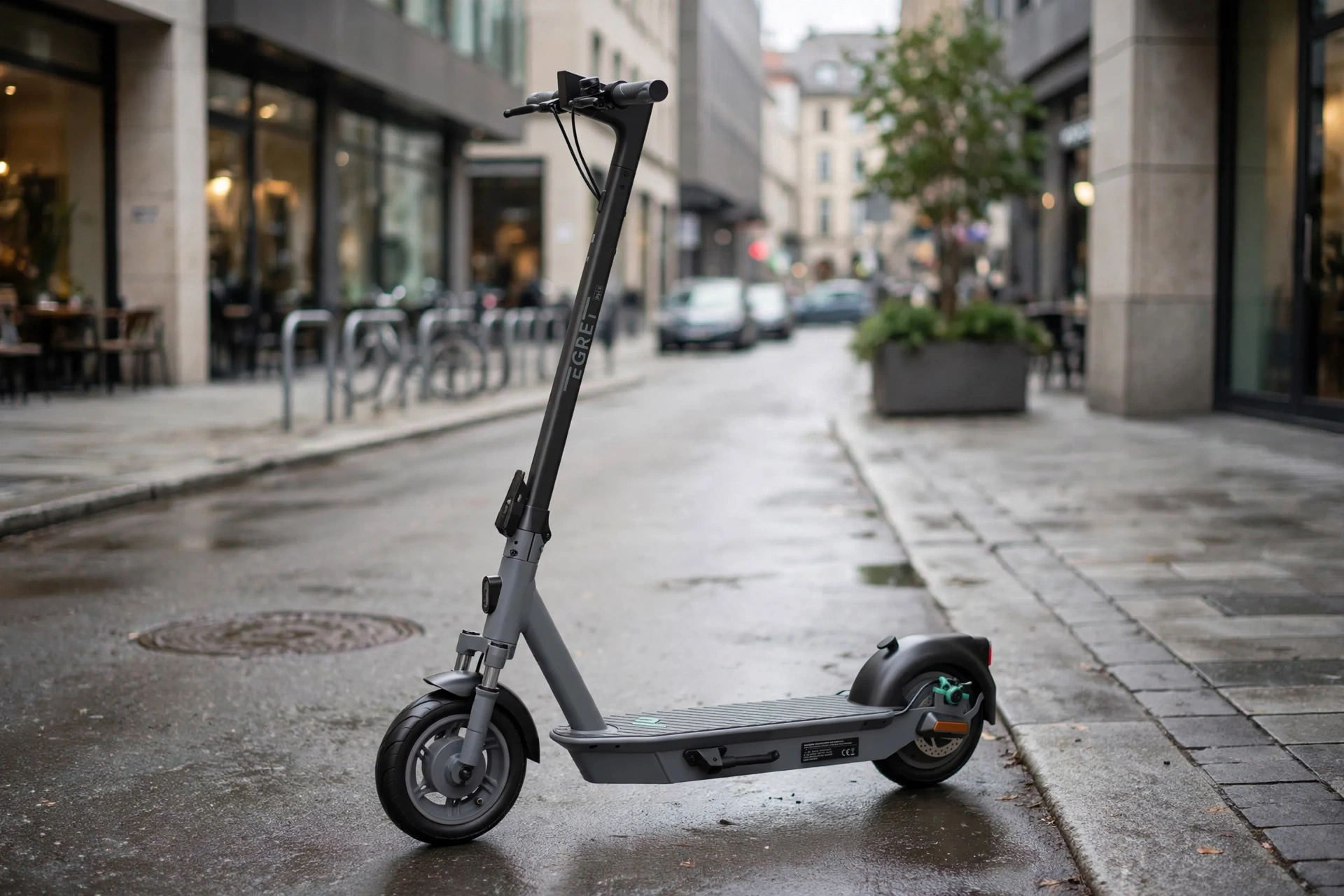 Foto oficial del Walberg Urban Electrics Egret Ey! 6