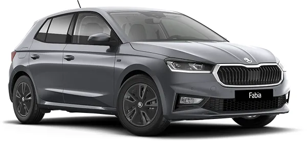 Skoda Fabia Selection 1.0 TSI 95, vista exterior